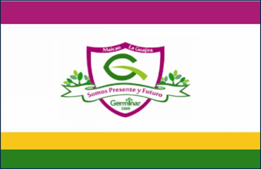Bandera Colegio Germinar